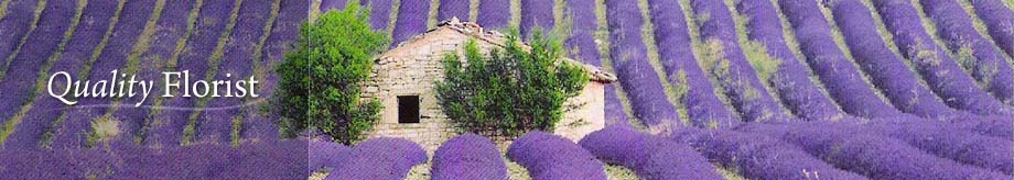 QualityFlorist