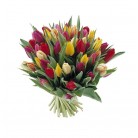 Tulpen gemengd